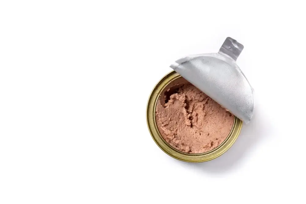 kedi yaş mama - kedi maması